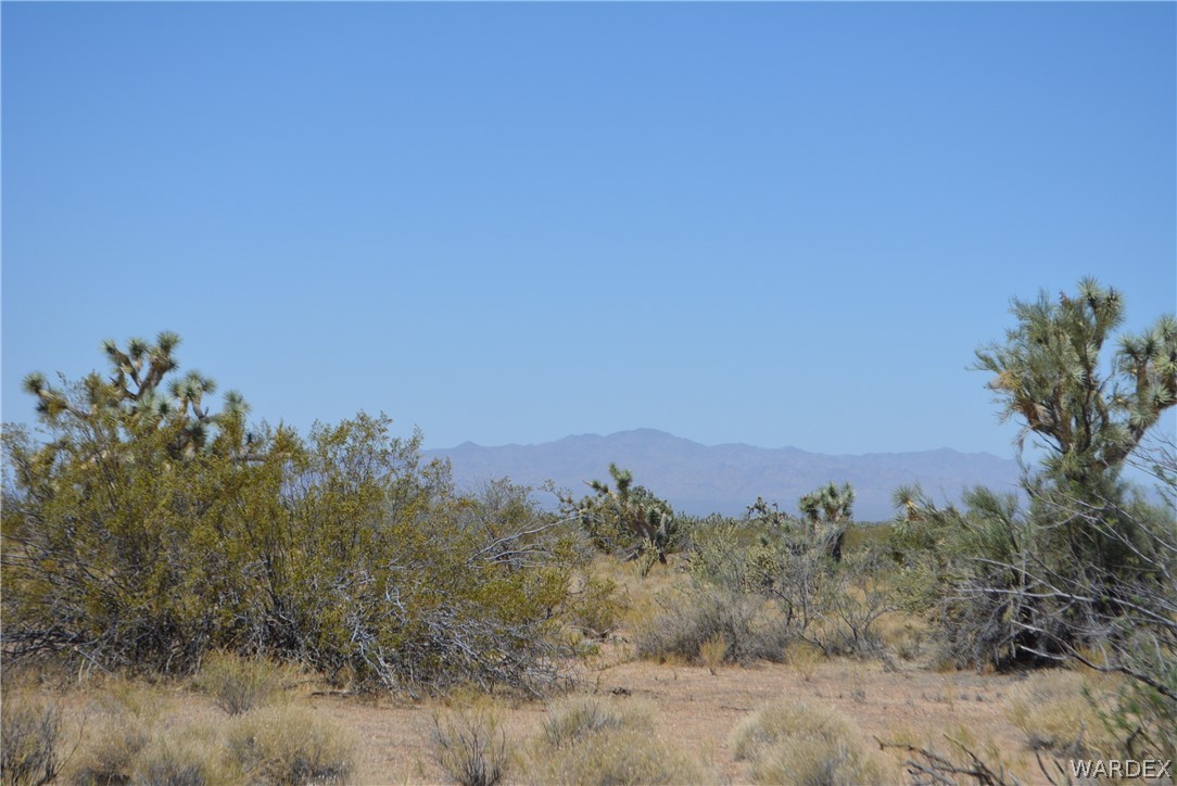 2089 Roadrunner Yucca, AZ 86438 - Photo 45 of 50