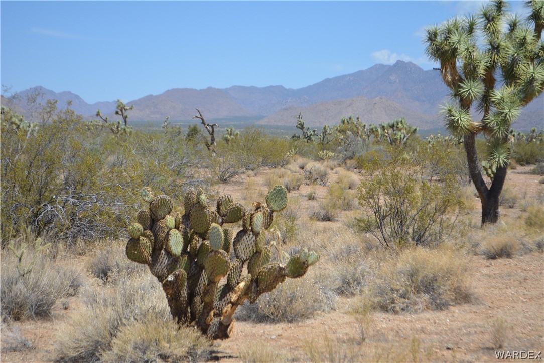 2089 Roadrunner Yucca, AZ 86438 - Photo 46 of 50