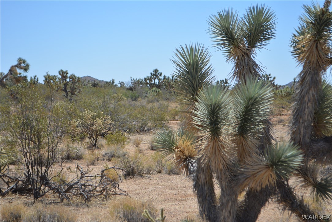 2089 Roadrunner Yucca, AZ 86438 - Photo 47 of 50