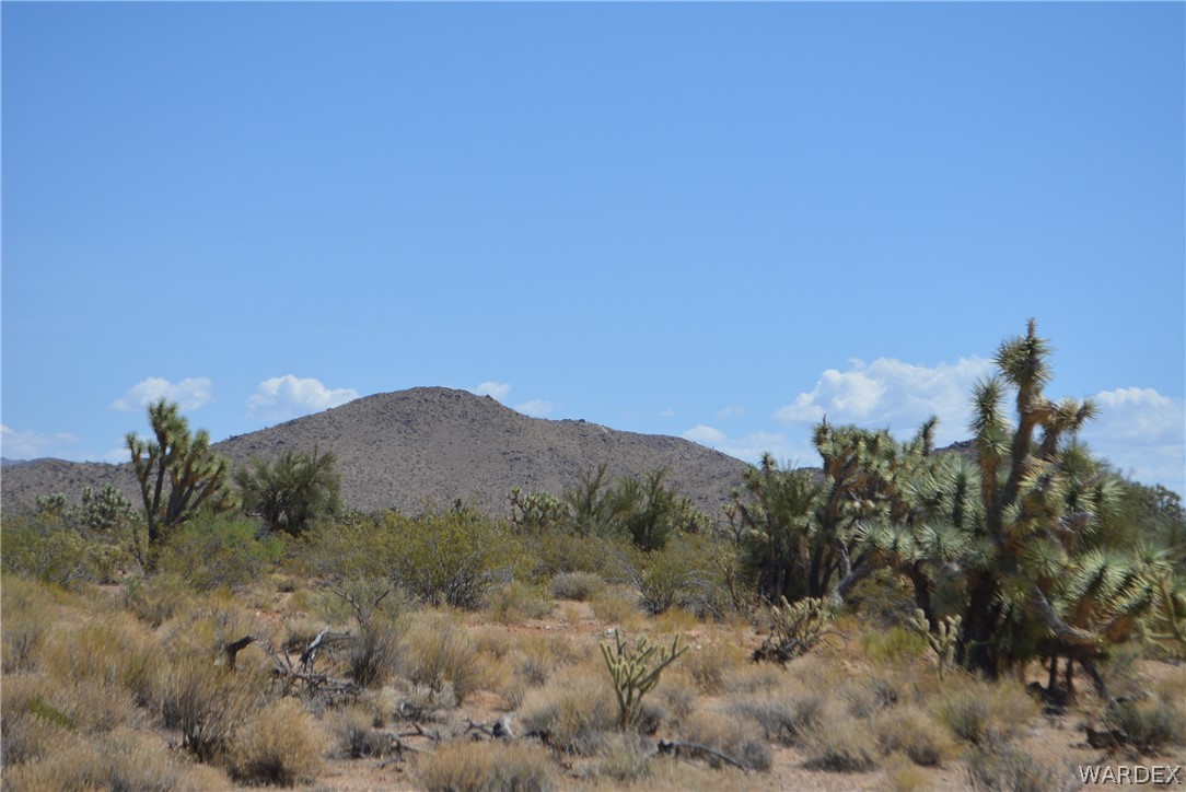 2089 Roadrunner Yucca, AZ 86438 - Photo 48 of 50