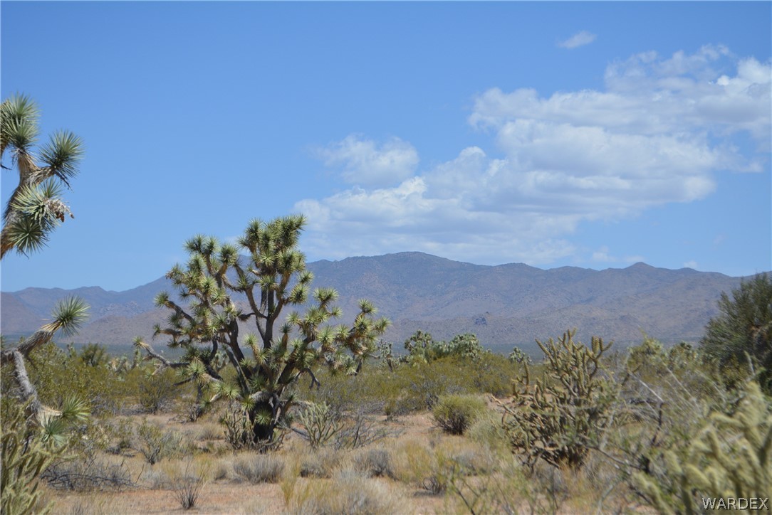 2089 Roadrunner Yucca, AZ 86438 - Photo 49 of 50
