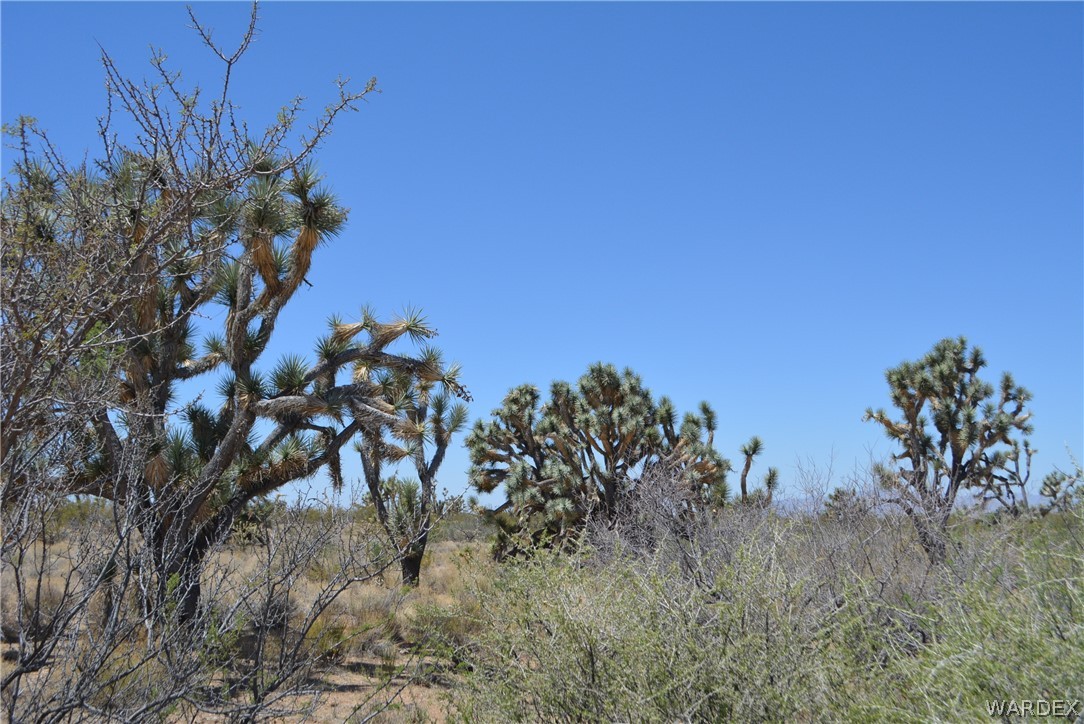 2089 Roadrunner Yucca, AZ 86438 - Photo 50 of 50