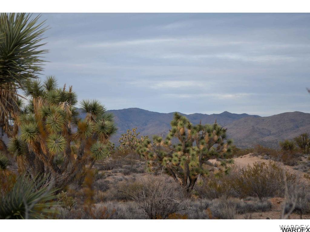 2089 Roadrunner Yucca, AZ 86438 - Photo 6 of 50