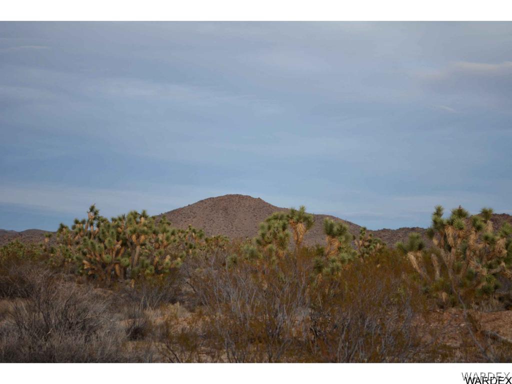 2089 Roadrunner Yucca, AZ 86438 - Photo 7 of 50