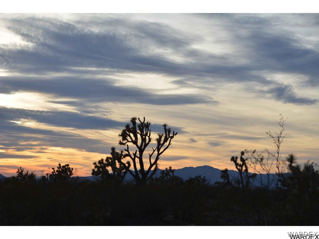 2089 Roadrunner Yucca, AZ 86438 - Photo 8 of 50