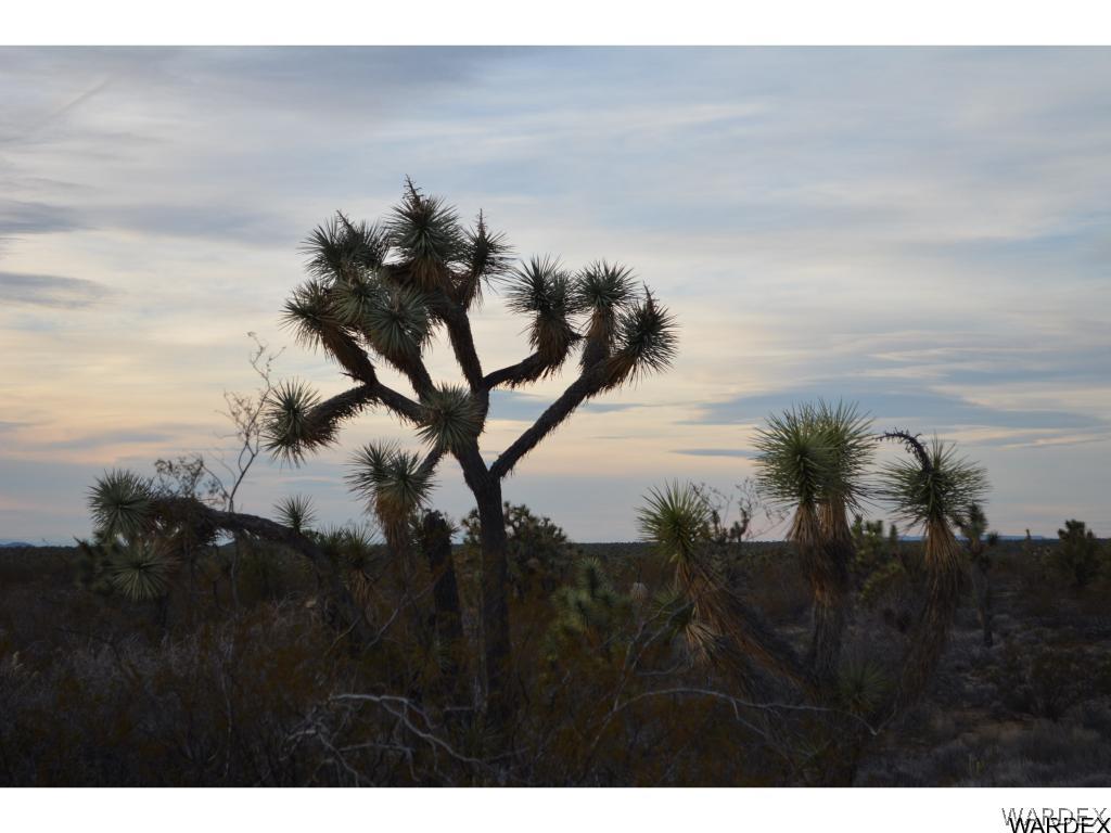 2089 Roadrunner Yucca, AZ 86438 - Photo 9 of 50