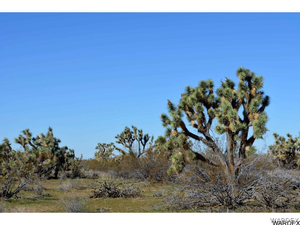 2089 Roadrunner Yucca, AZ 86438 - Photo 10 of 50