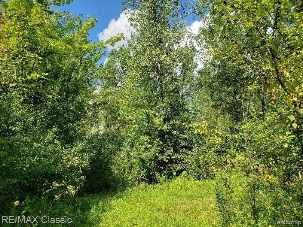 50140 West 9 Mile Road Novi, MI 48374 - Photo 2 of 27 Gallery Image 2
