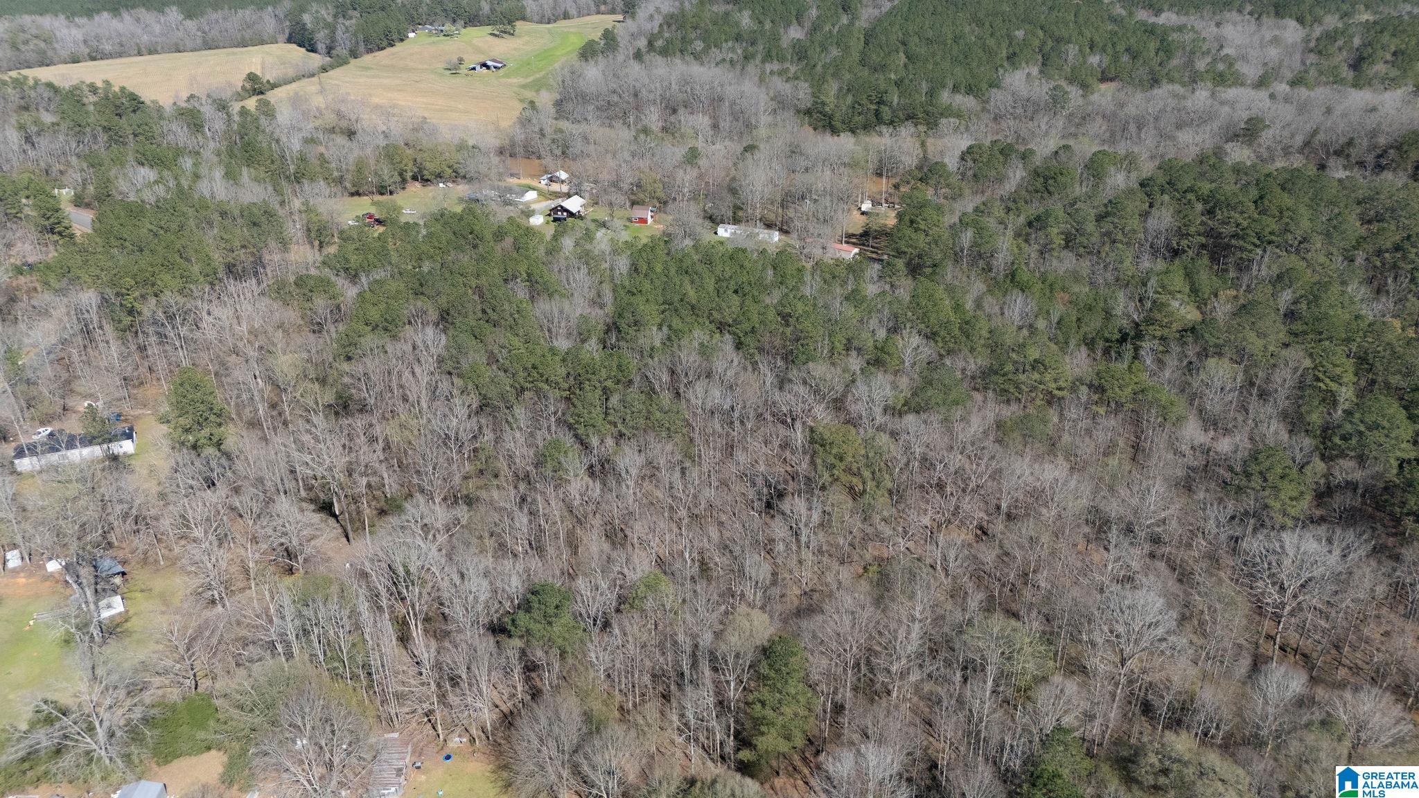 29 North Northview Circle, Unit 29 Northport, AL 35475 - Photo 12 of 16
