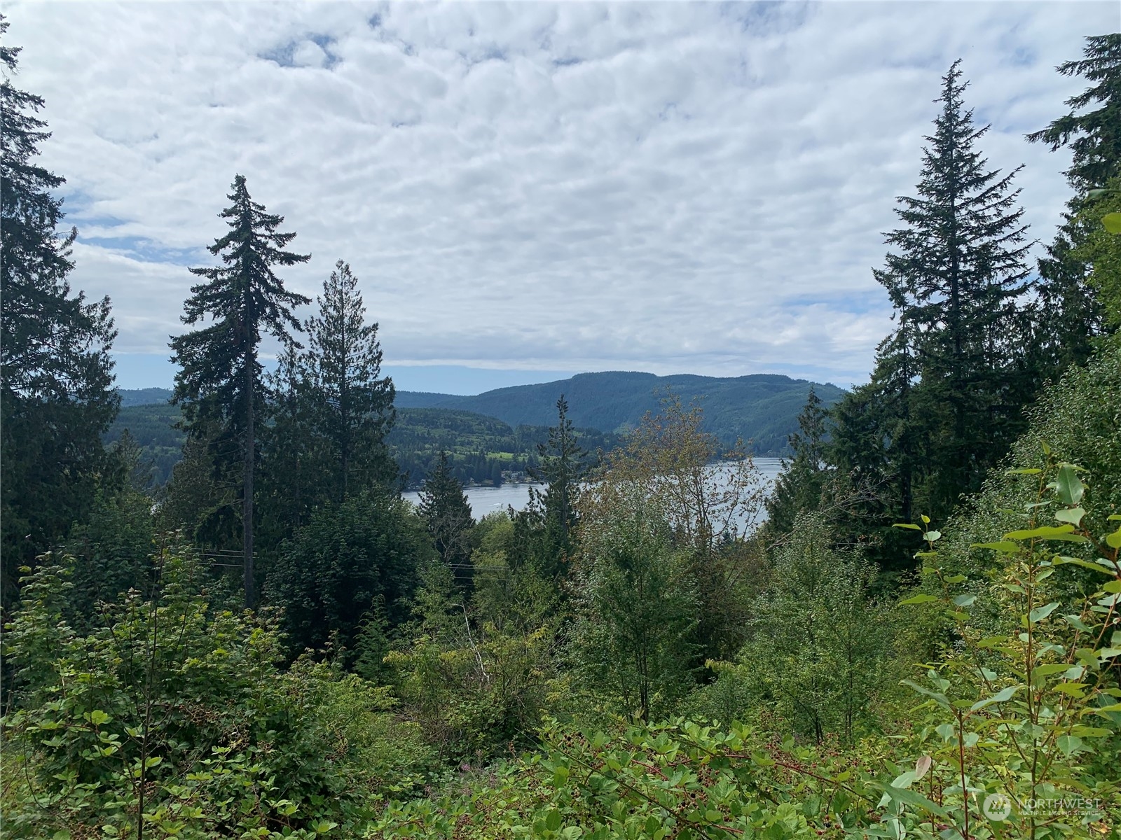 562 Manley Road Bellingham, WA 98229 - Photo 22 of 31 Gallery Image 22
