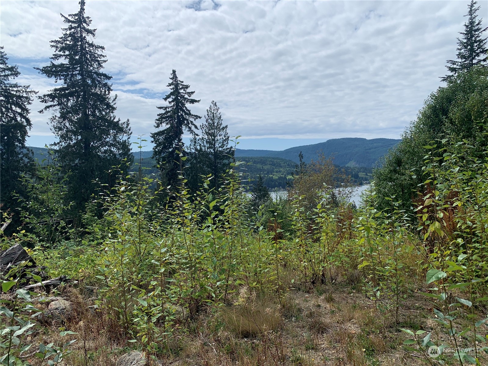 562 Manley Road Bellingham, WA 98229 - Photo 23 of 31 Gallery Image 23