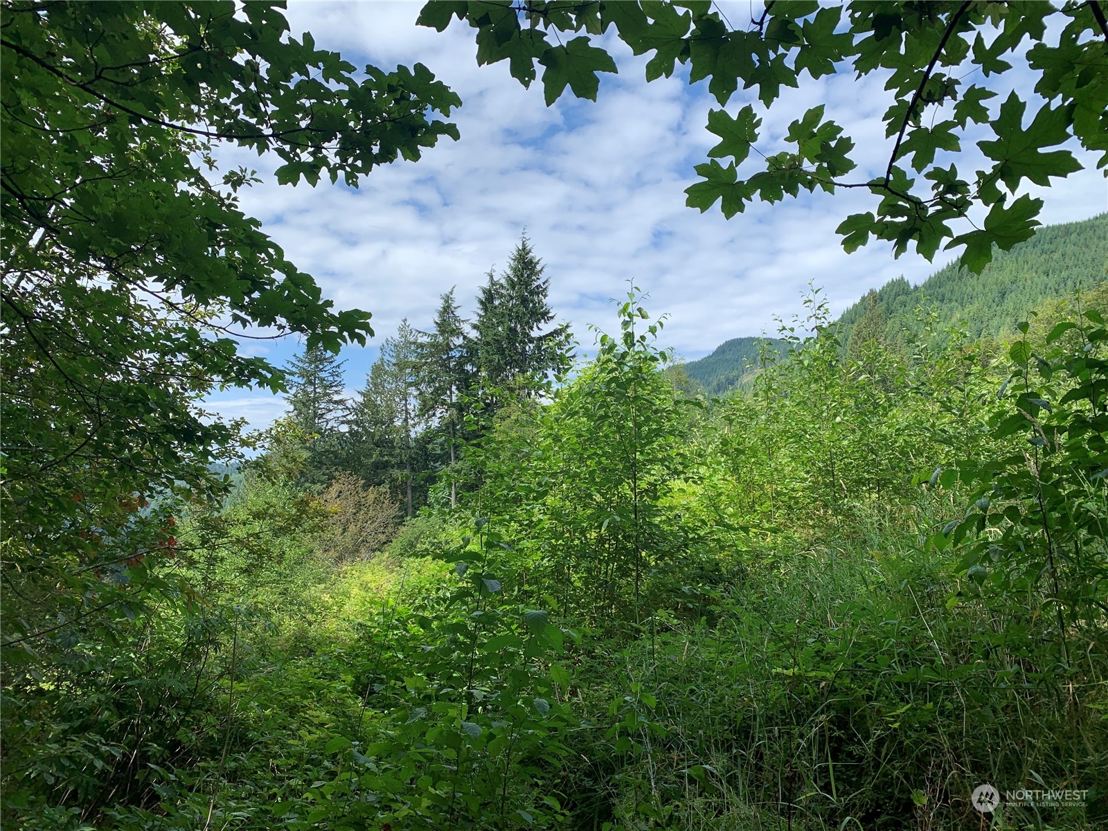 562 Manley Road Bellingham, WA 98229 - Photo 24 of 31 Gallery Image 24
