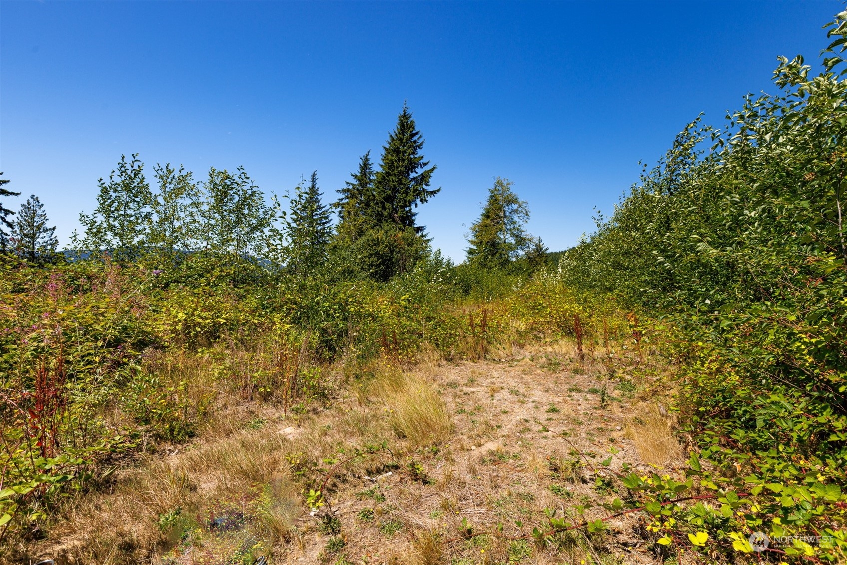 562 Manley Road Bellingham, WA 98229 - Photo 27 of 31 Gallery Image 27