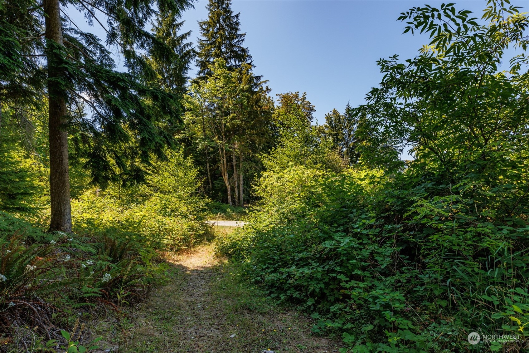562 Manley Road Bellingham, WA 98229 - Photo 29 of 31 Gallery Image 29
