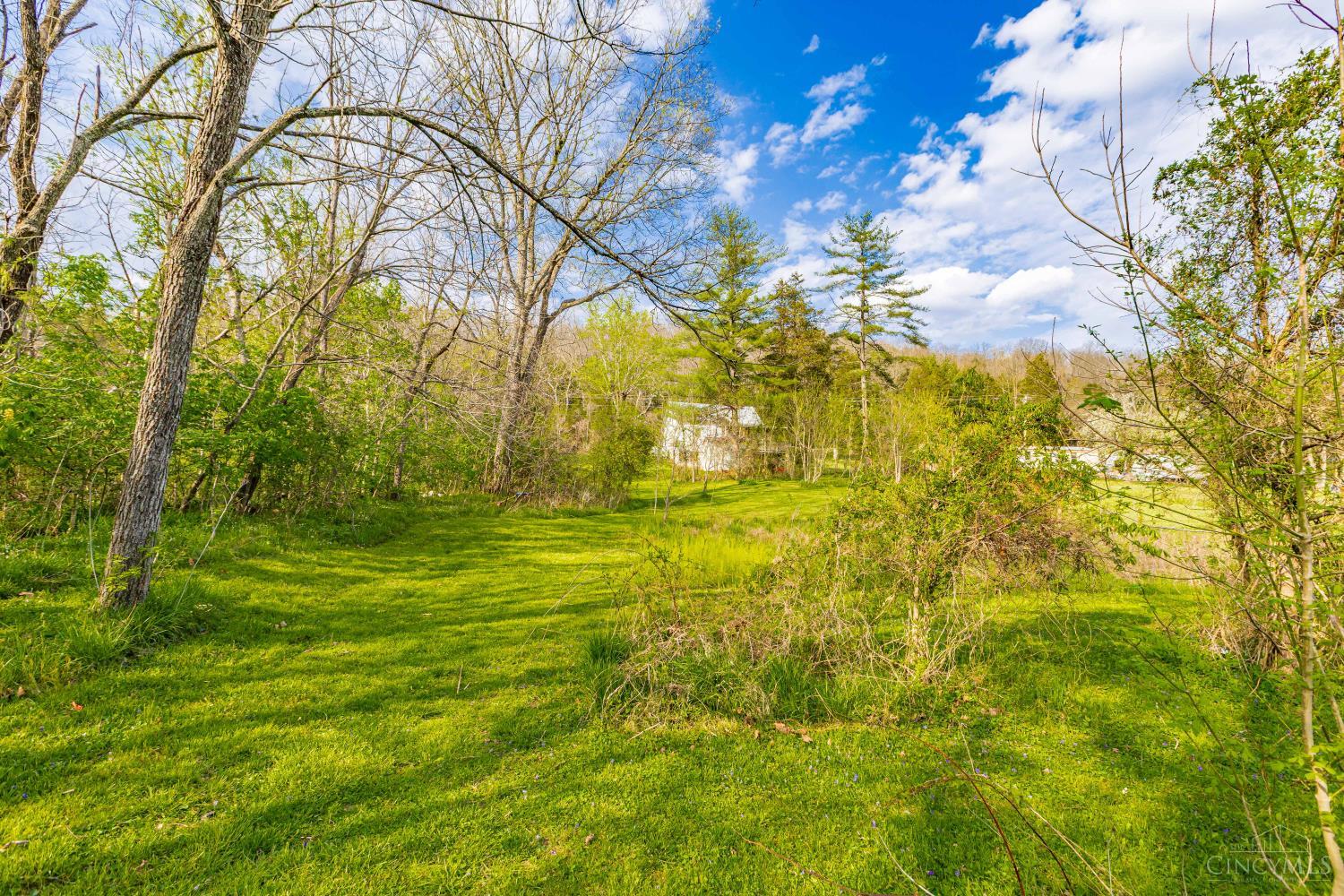 1919 Beasley Fork Road West Union, OH 45693 - Photo 4 of 46