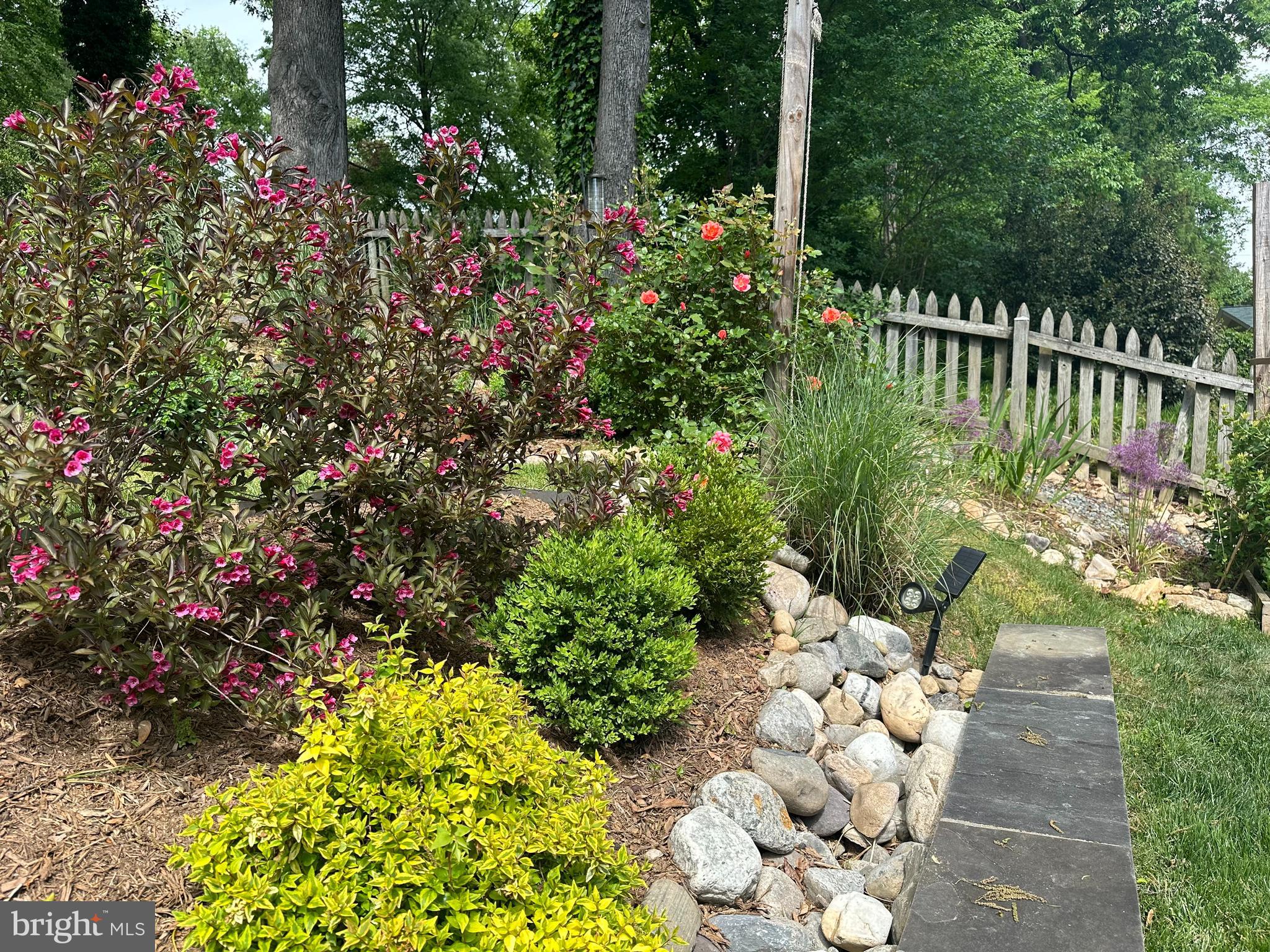 3231 Beech Street Northwest Washington, DC 20015 - Photo 28 of 29 a view of a flower in a garden