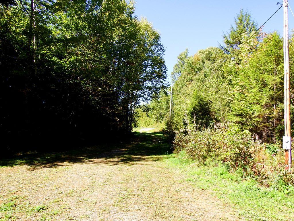 Lot 17 Haney Road Danforth, ME 04424 - Photo 18 of 21 Photo