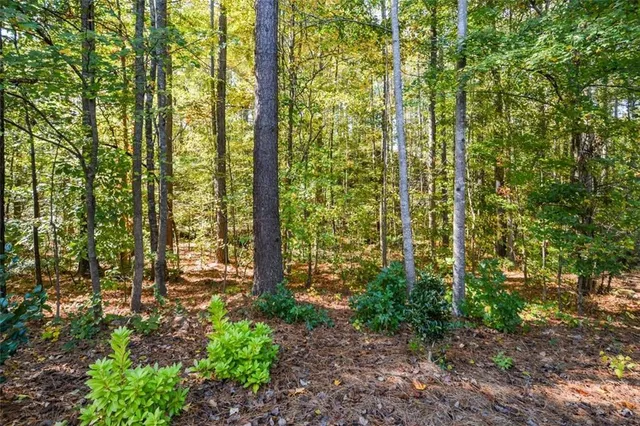 $619,000 | 1200 Double Branches Lane, Dallas, GA 30132