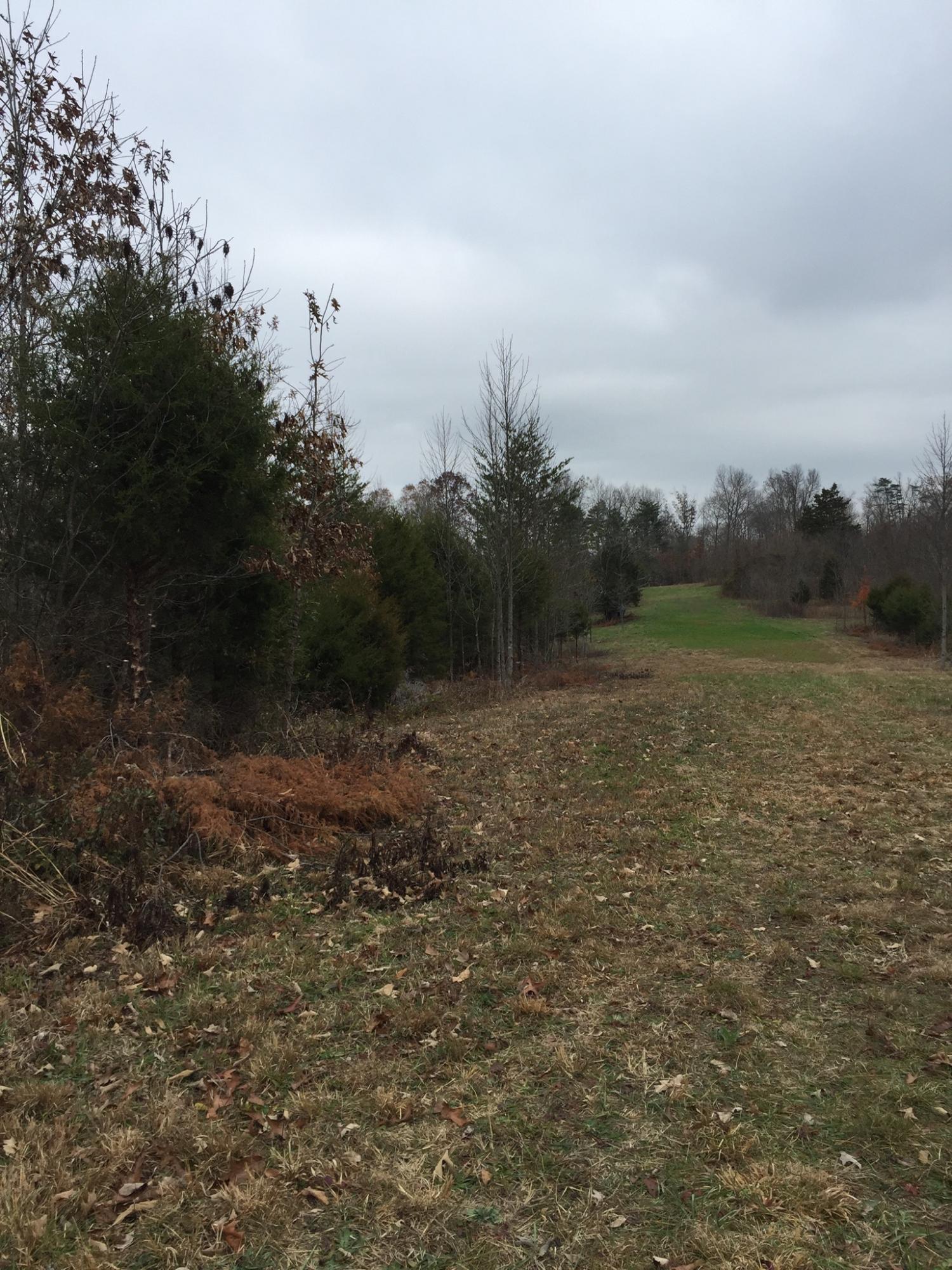 1280 Daws Ridge Road Nancy, KY 42544 - Photo 3 of 12 21E505AD-FAD0-43B4-B951-D347881750D7<|><