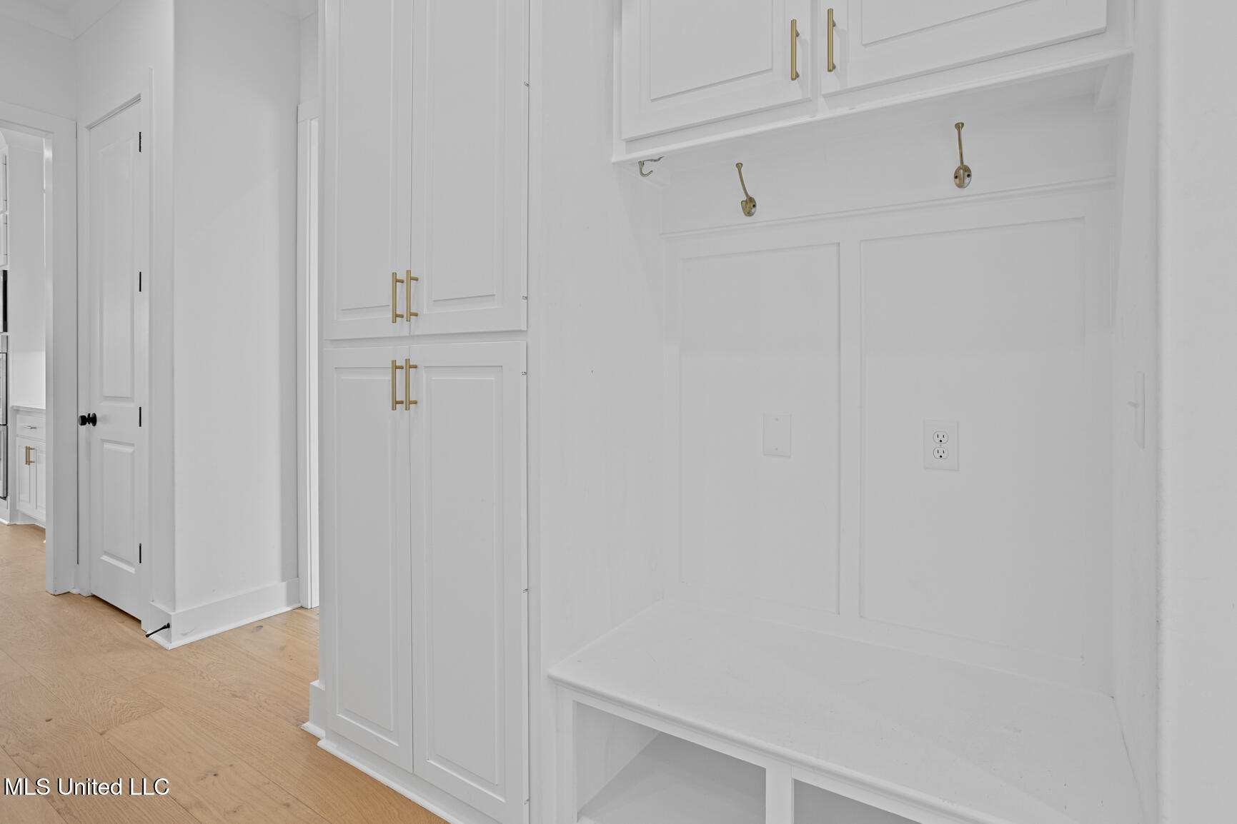 123 Paylors Way Madison, MS 39110 - Photo 24 of 50 123 Paylor's Way-20