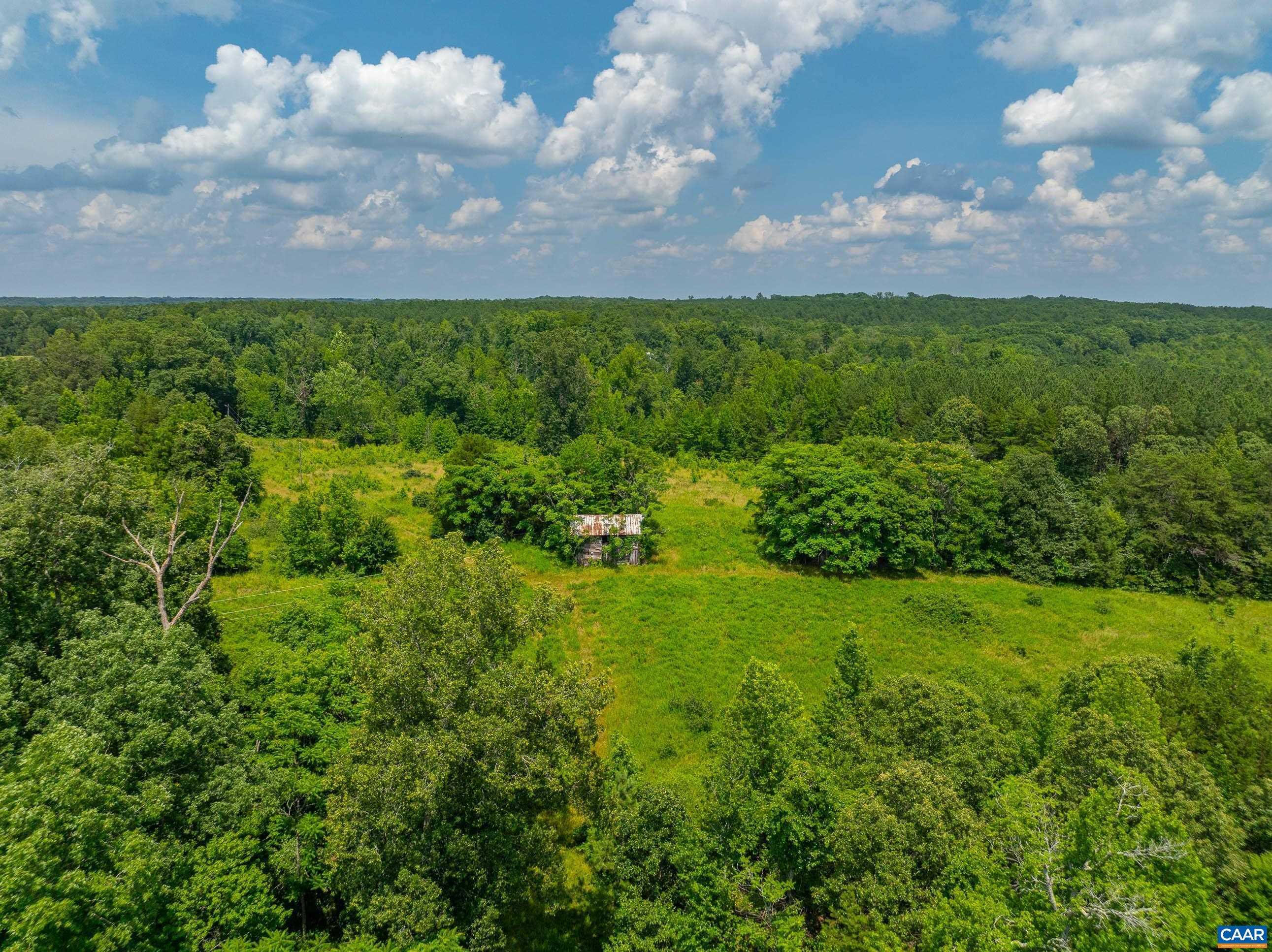 1566 Georges Mill Road Palmyra, VA 22963 - Photo 3 of 71