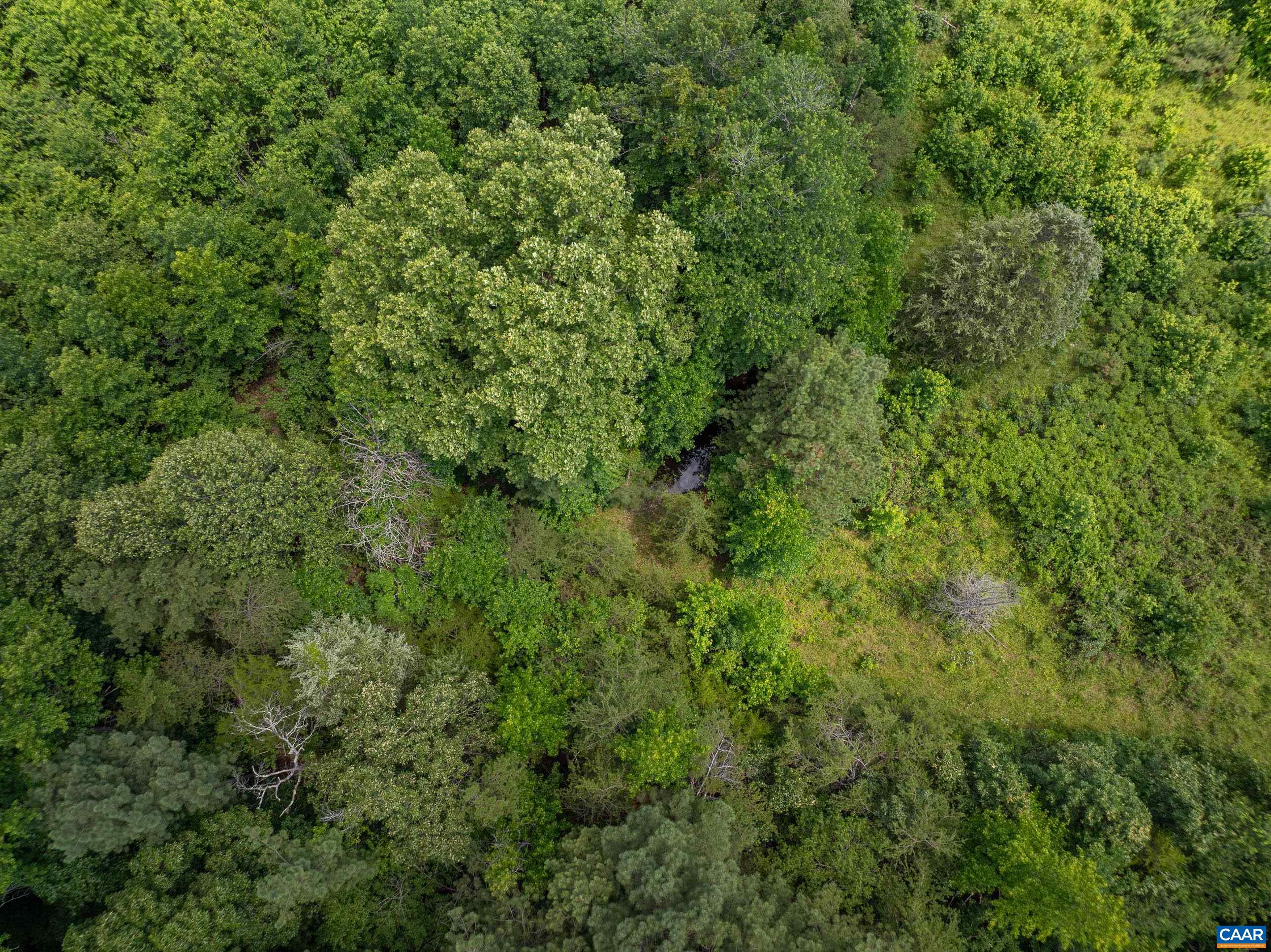 1566 Georges Mill Road Palmyra, VA 22963 - Photo 34 of 71