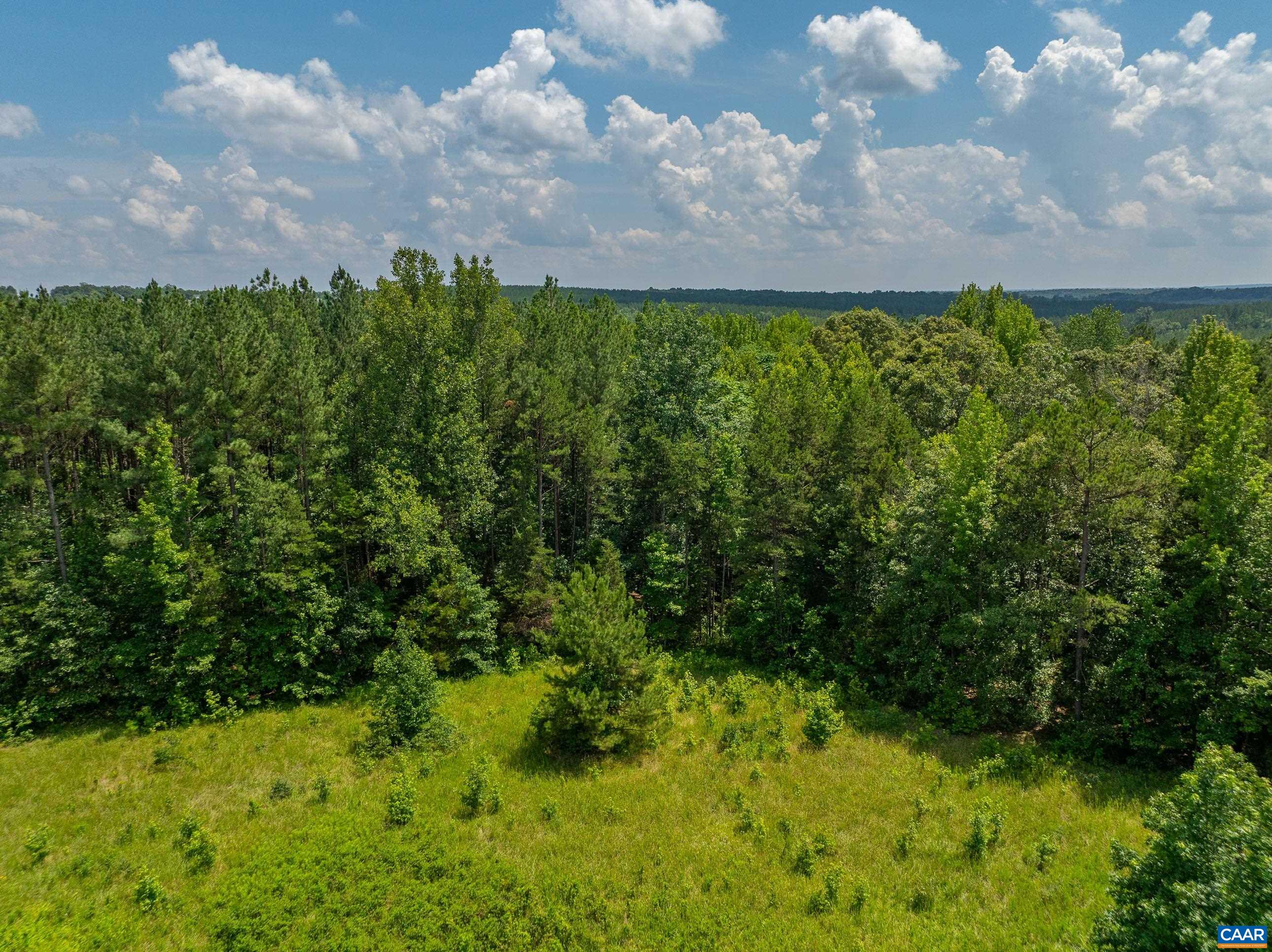 1566 Georges Mill Road Palmyra, VA 22963 - Photo 42 of 71