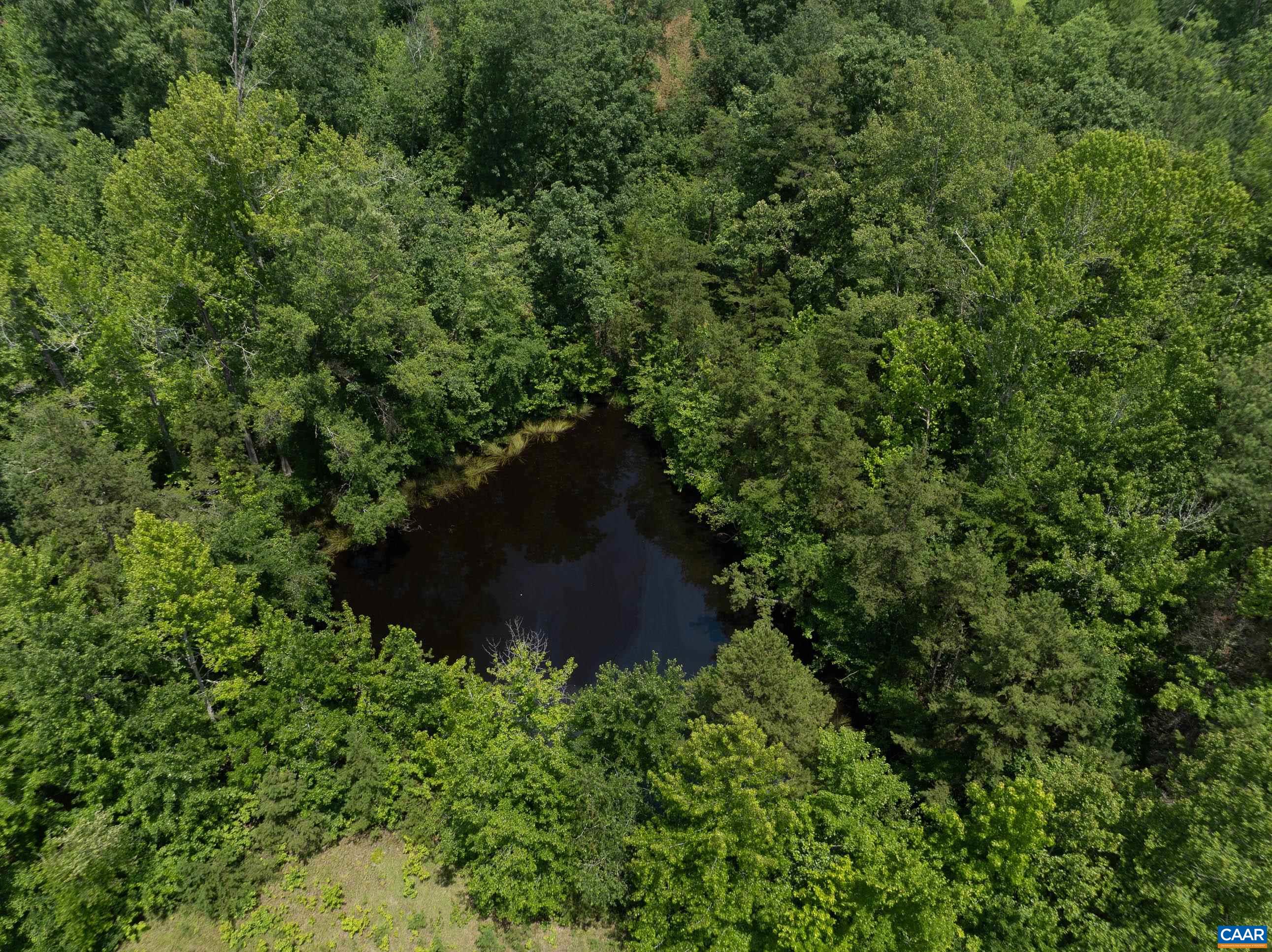 1566 Georges Mill Road Palmyra, VA 22963 - Photo 5 of 71