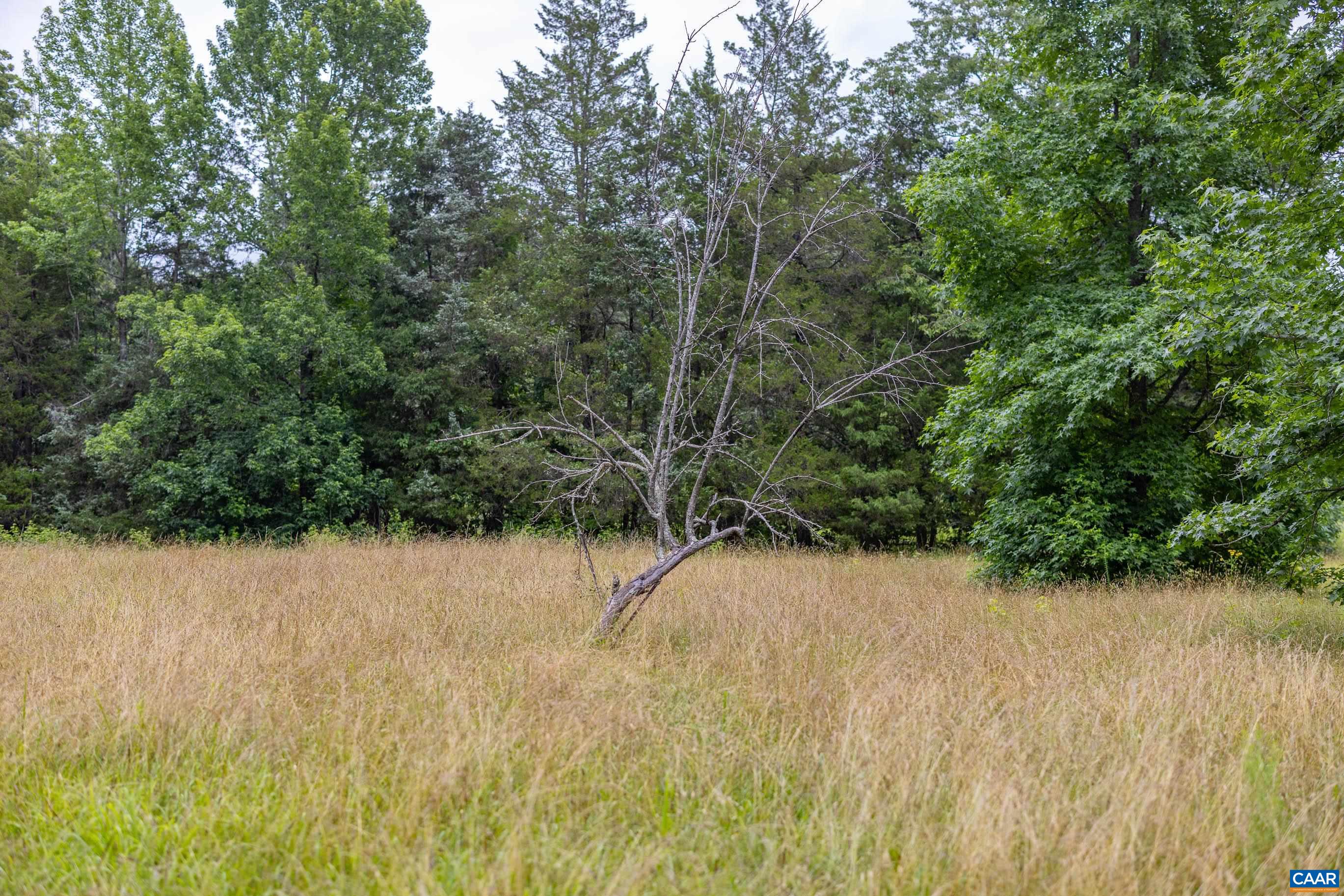 1566 Georges Mill Road Palmyra, VA 22963 - Photo 51 of 71
