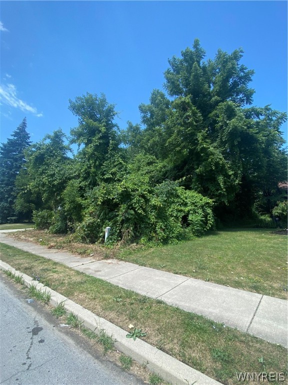 0 Packard Road Niagara Falls, NY 14304 - Photo 1 of 1 Gallery Image 1