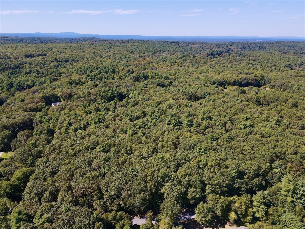 90 Corn Road Bolton, MA 01740 - Photo 8 of 10