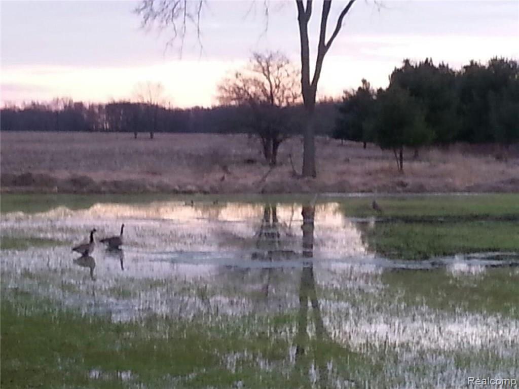 2800 Swan Road Dansville, MI 48819 - Photo 36 of 39 7895.jpeg