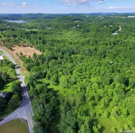 a view of a lush green forest with a house