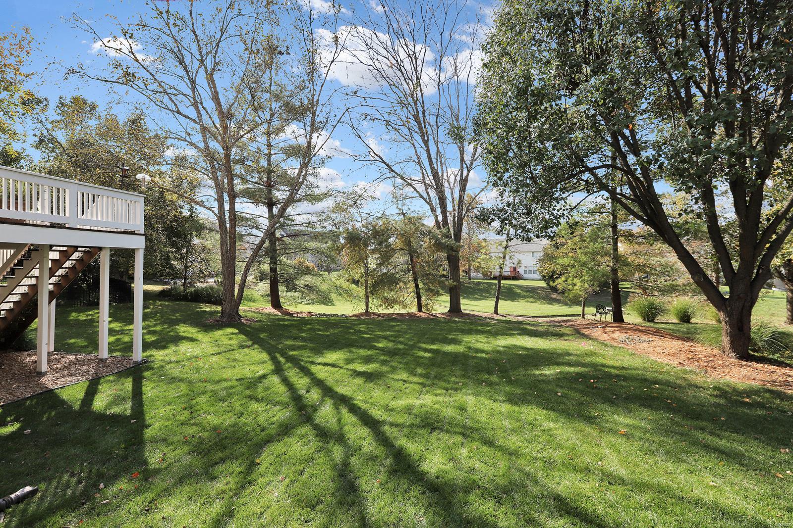 1257 Bluffview Ridge Drive Chesterfield, MO 63005 - Photo 44 of 46 Gallery Image 44