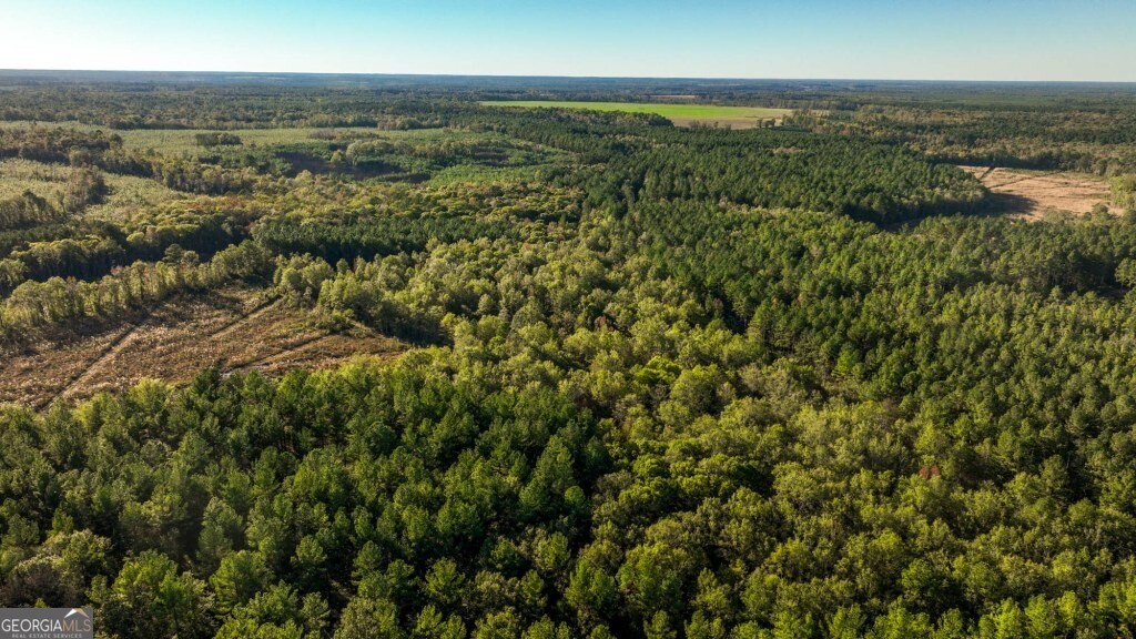 2 Old Savannah Road, Unit TRACT 2 Millen, GA 30442 - Photo 23 of 28