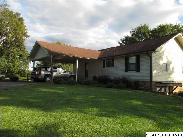 4910 Masters Road Pell City, AL 35128 - Photo 3 of 20