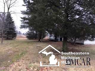 11515 Day Road Dundee, MI 48131 - Photo 6 of 9 21254743-5.JPG