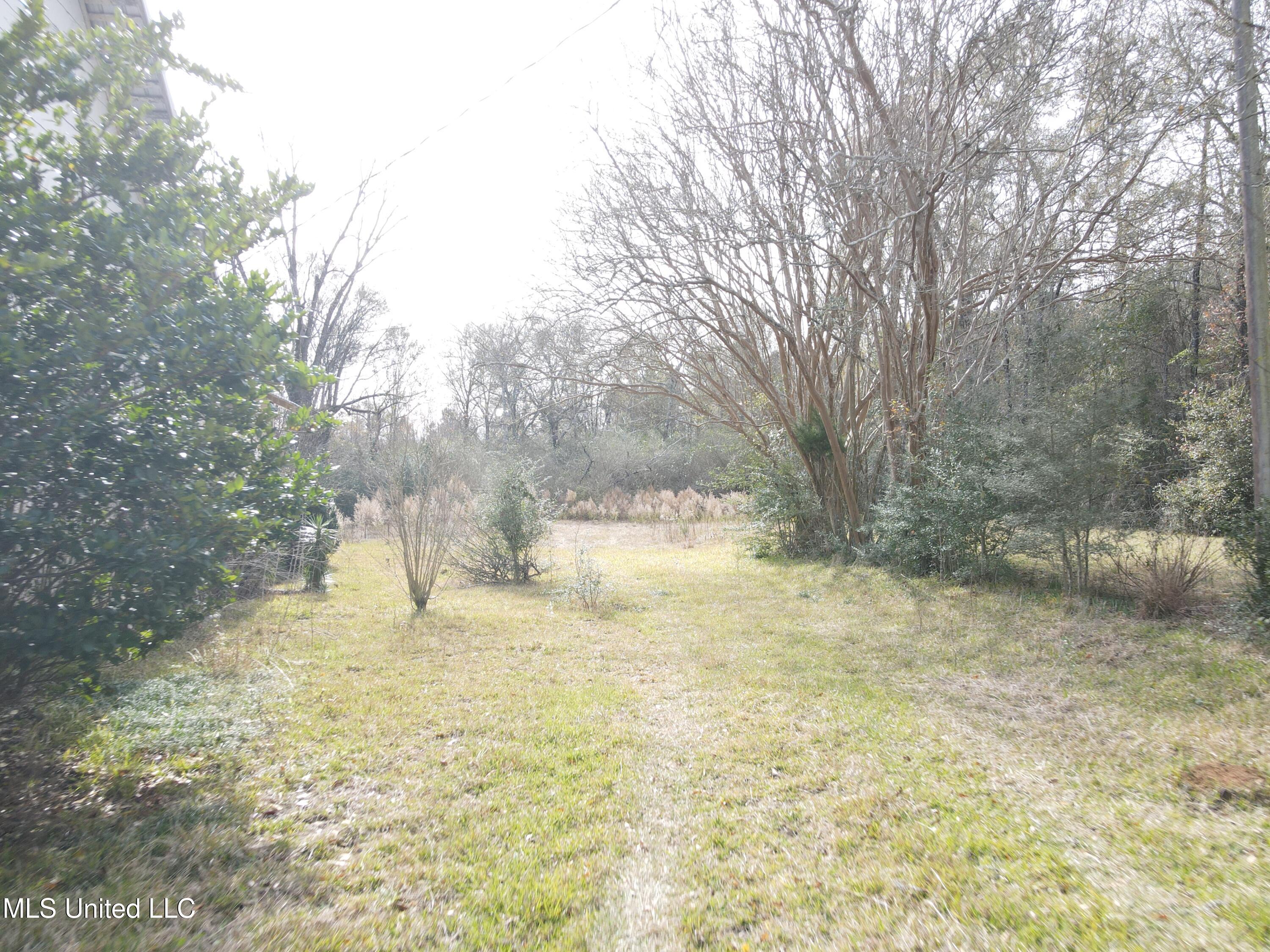 92 Price Road Jayess, MS 39641 - Photo 12 of 48 DJI_0086