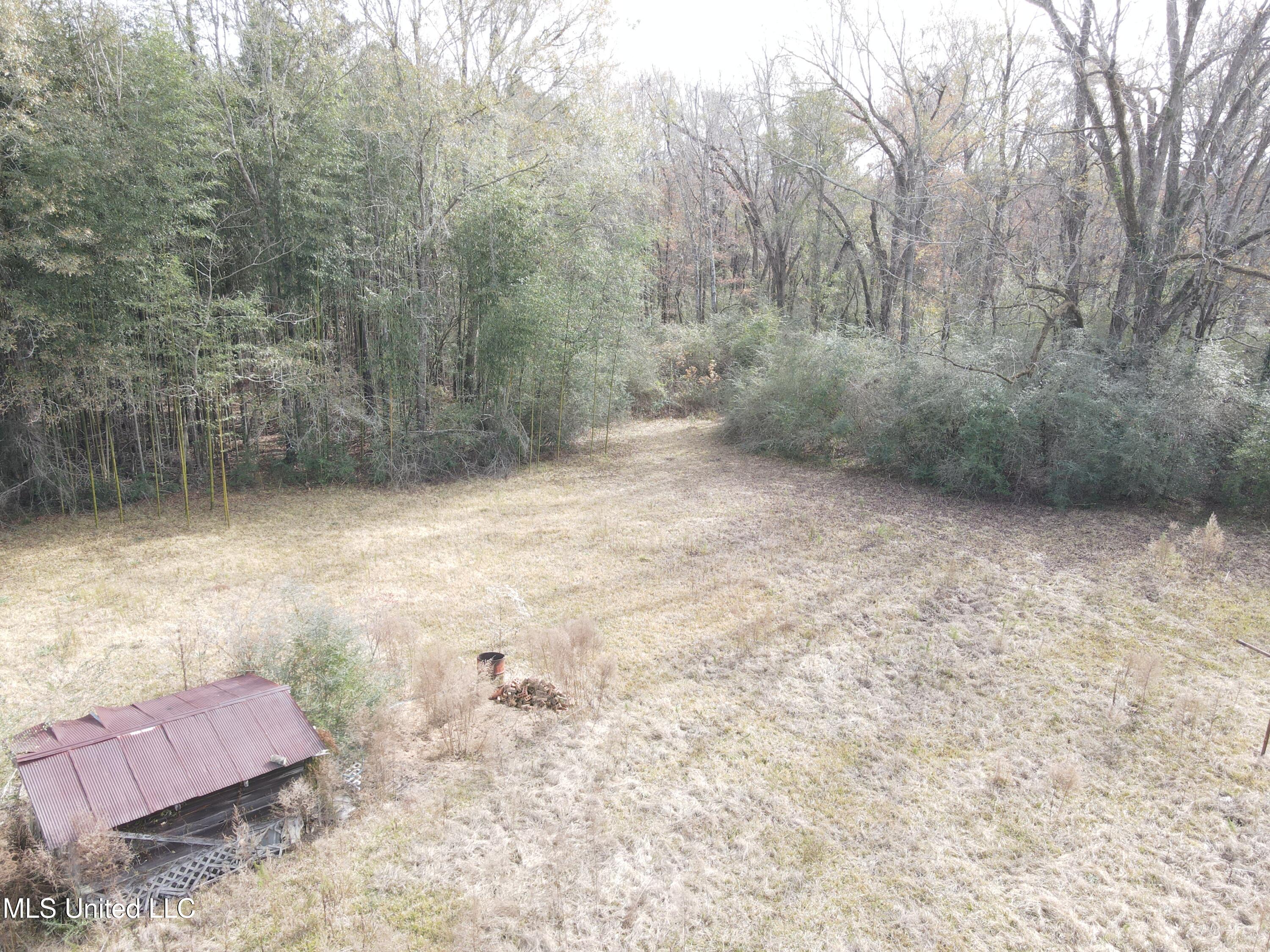 92 Price Road Jayess, MS 39641 - Photo 14 of 48 DJI_0091