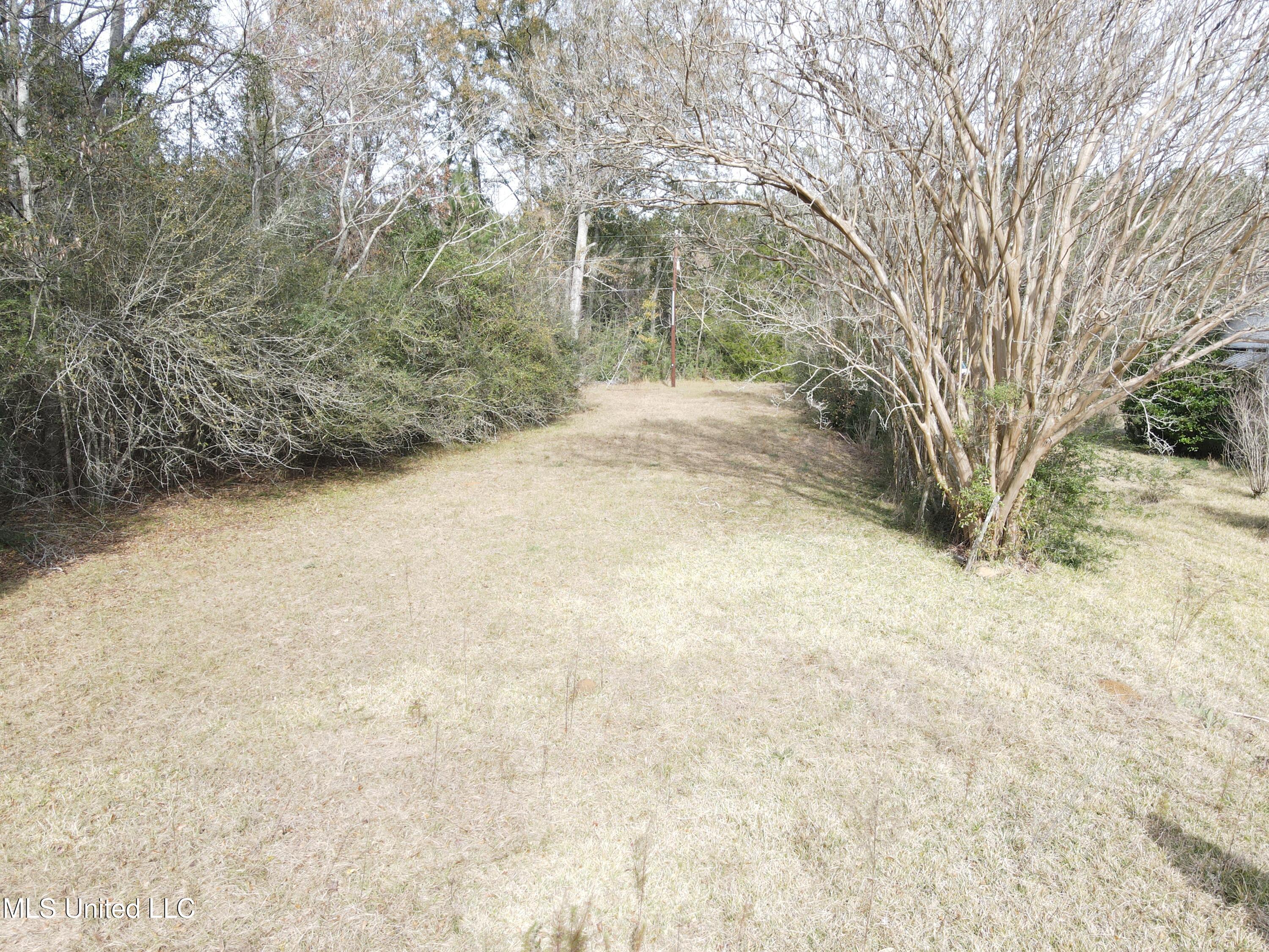 92 Price Road Jayess, MS 39641 - Photo 16 of 48 DJI_0099