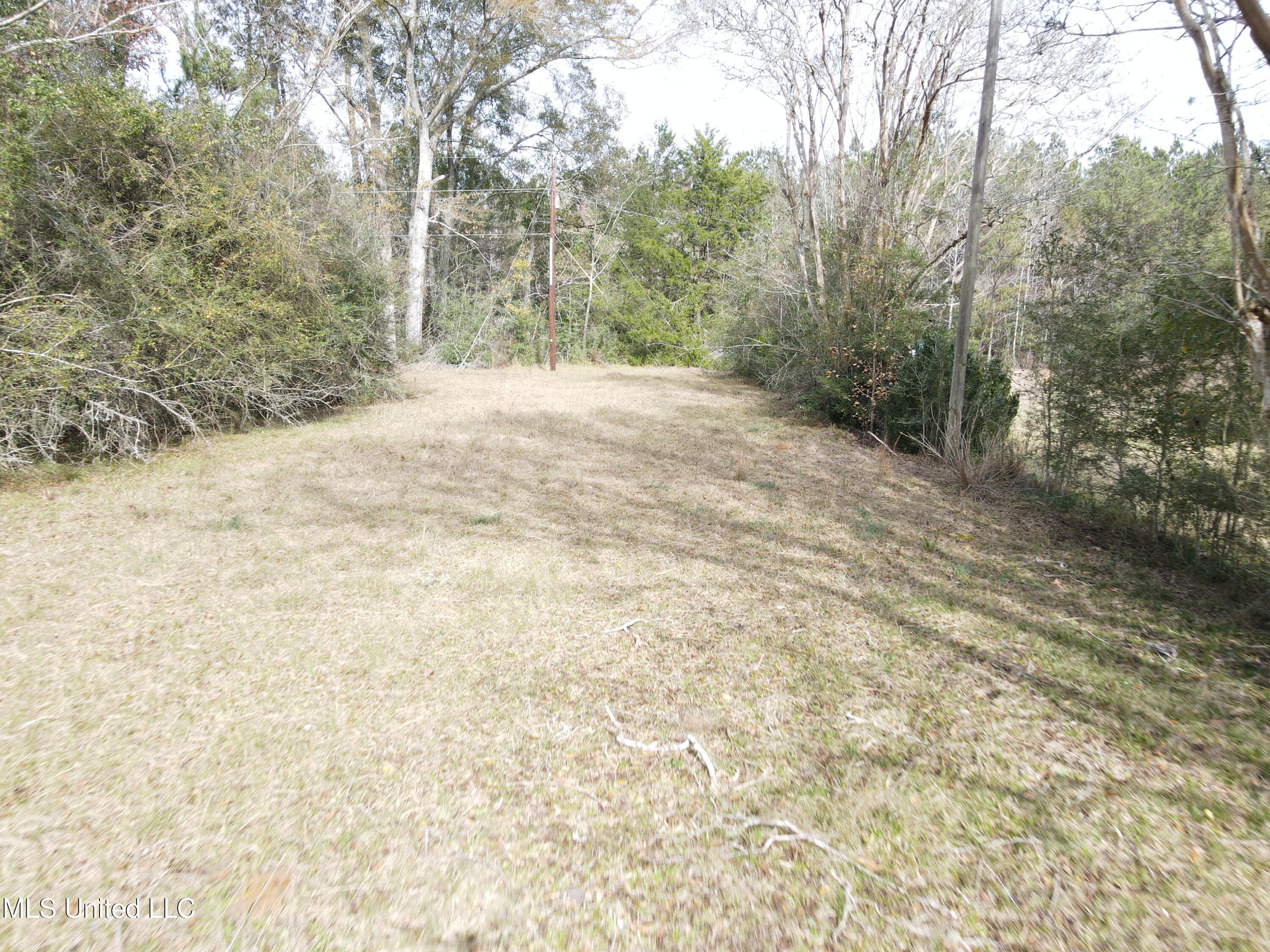 92 Price Road Jayess, MS 39641 - Photo 17 of 48 DJI_0101