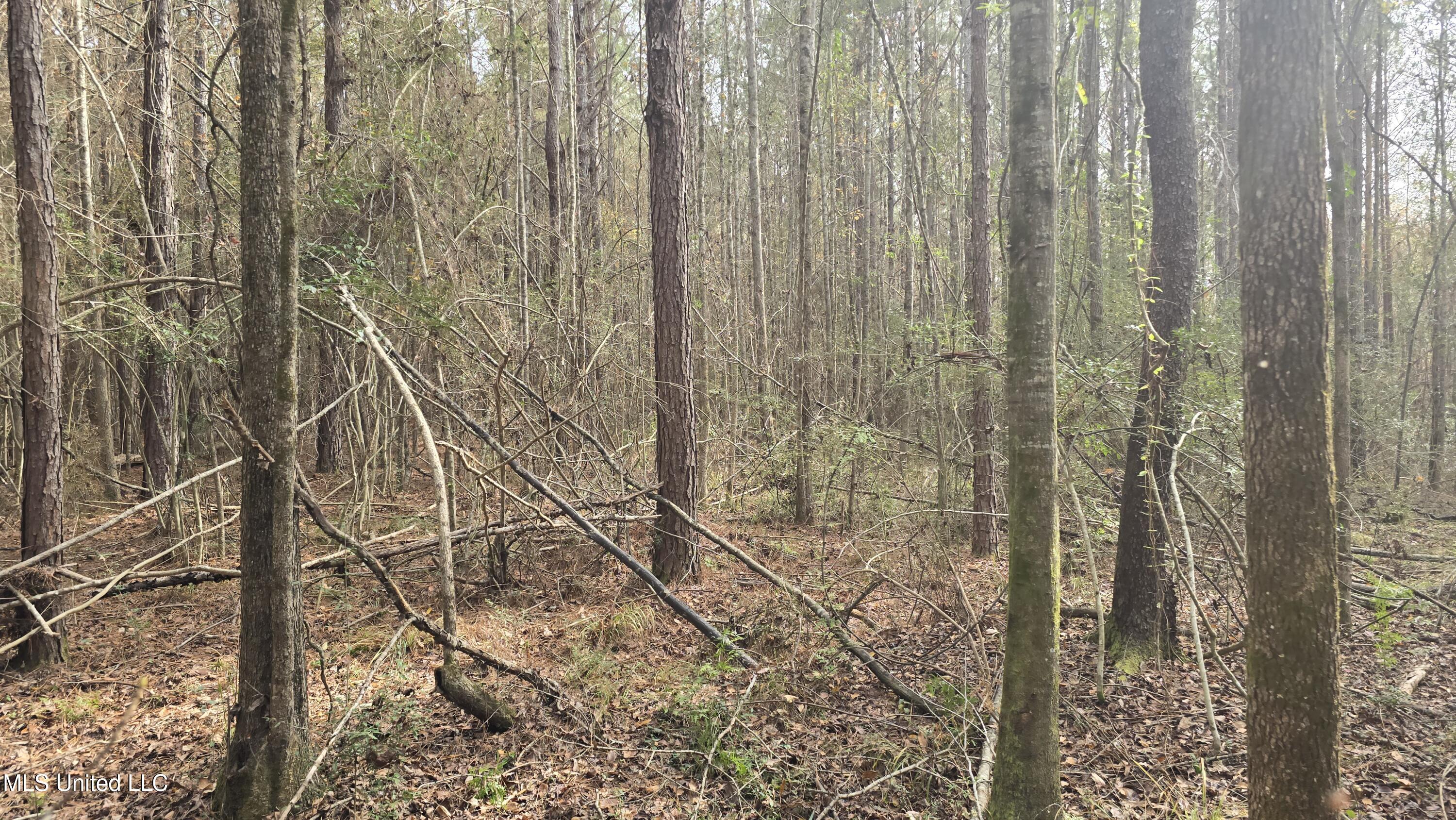 92 Price Road Jayess, MS 39641 - Photo 21 of 48 20251216_120014