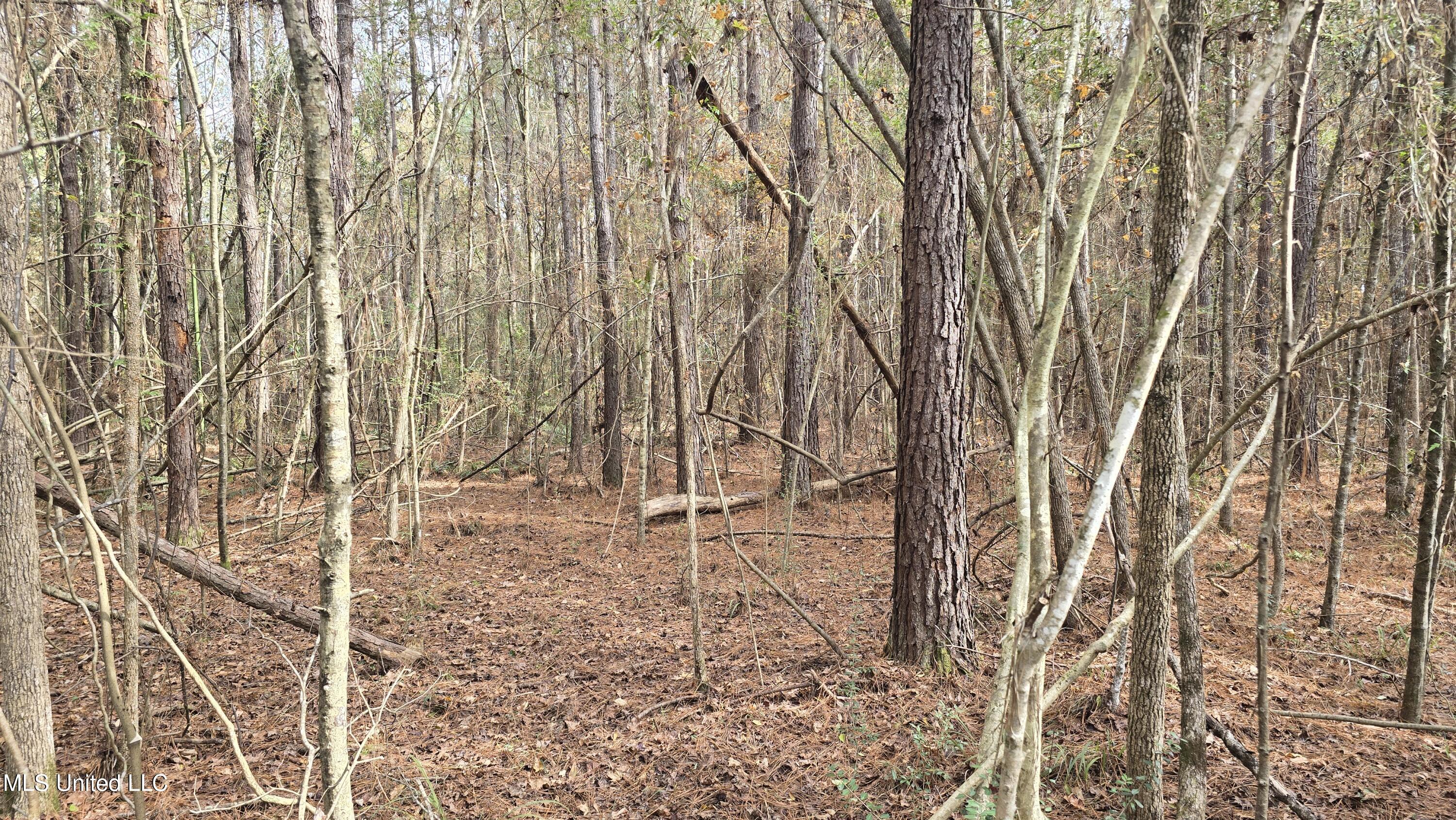 92 Price Road Jayess, MS 39641 - Photo 22 of 48 20251216_120043