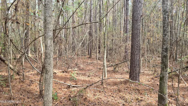 $165,000 | 92 Price Road, Jayess, MS 39641