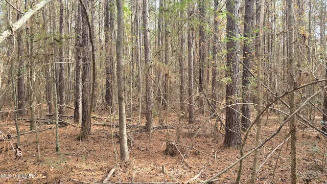 $165,000 | 92 Price Road, Jayess, MS 39641