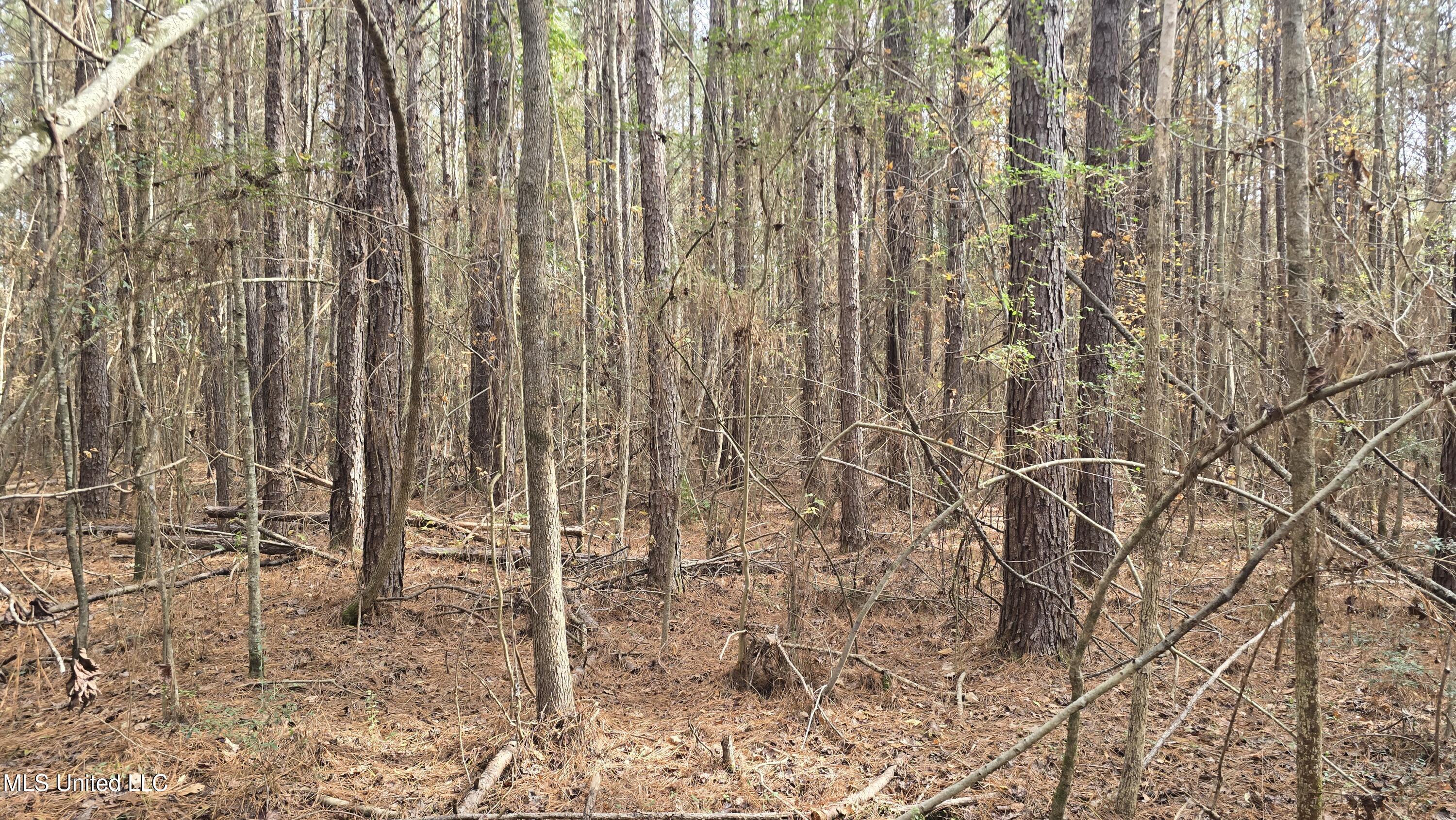 92 Price Road Jayess, MS 39641 - Photo 24 of 48 20251216_120111