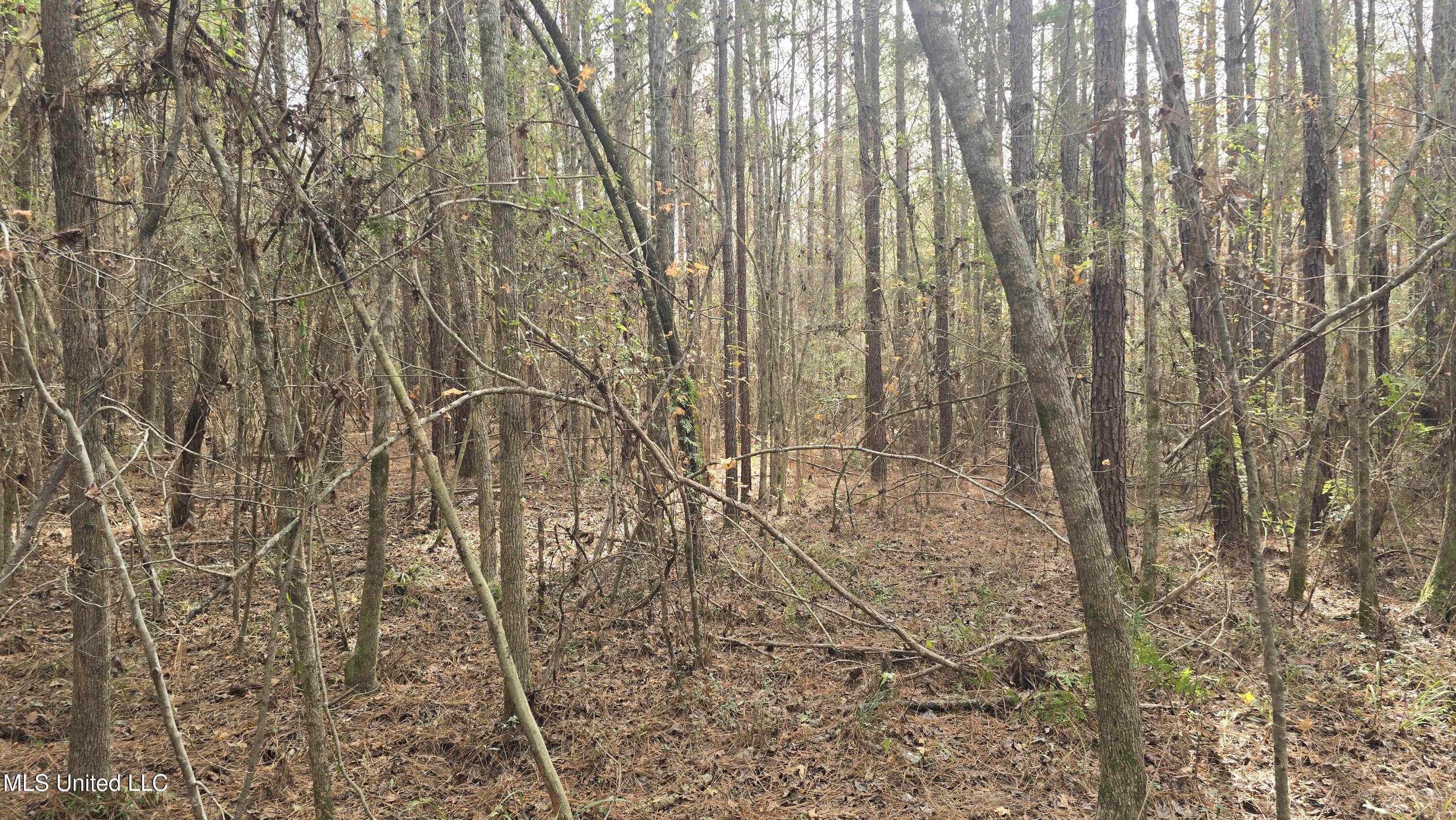 92 Price Road Jayess, MS 39641 - Photo 25 of 48 20251216_120124