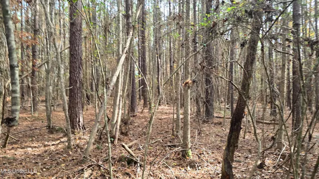 $165,000 | 92 Price Road, Jayess, MS 39641