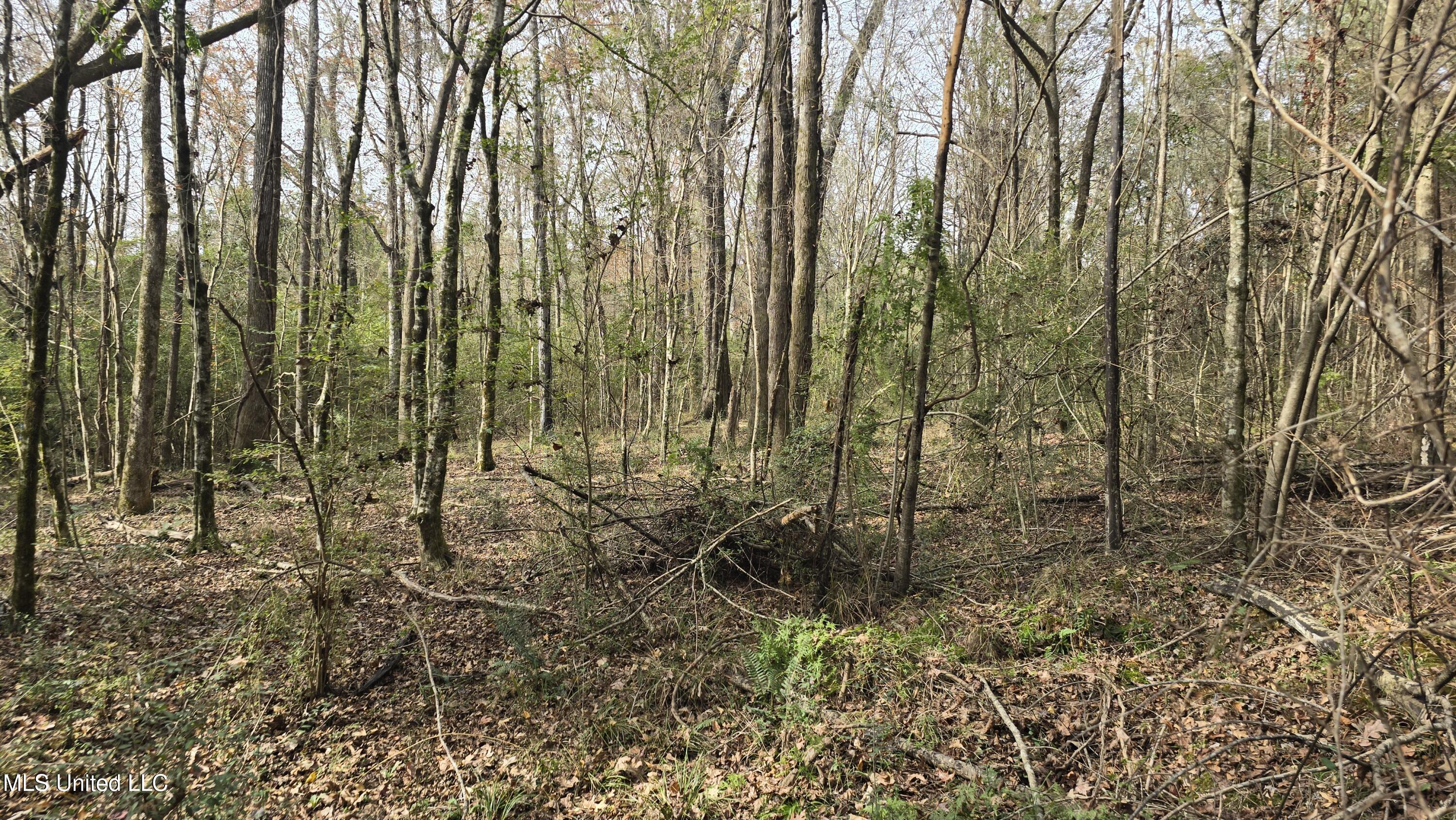 92 Price Road Jayess, MS 39641 - Photo 27 of 48 20251216_120614