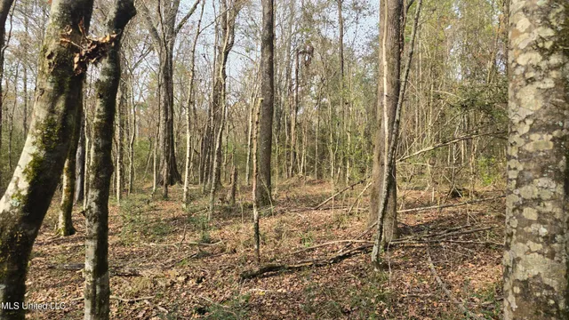 $165,000 | 92 Price Road, Jayess, MS 39641